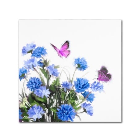 The Macneil Studio 'Butterflys' Canvas Art,24x24